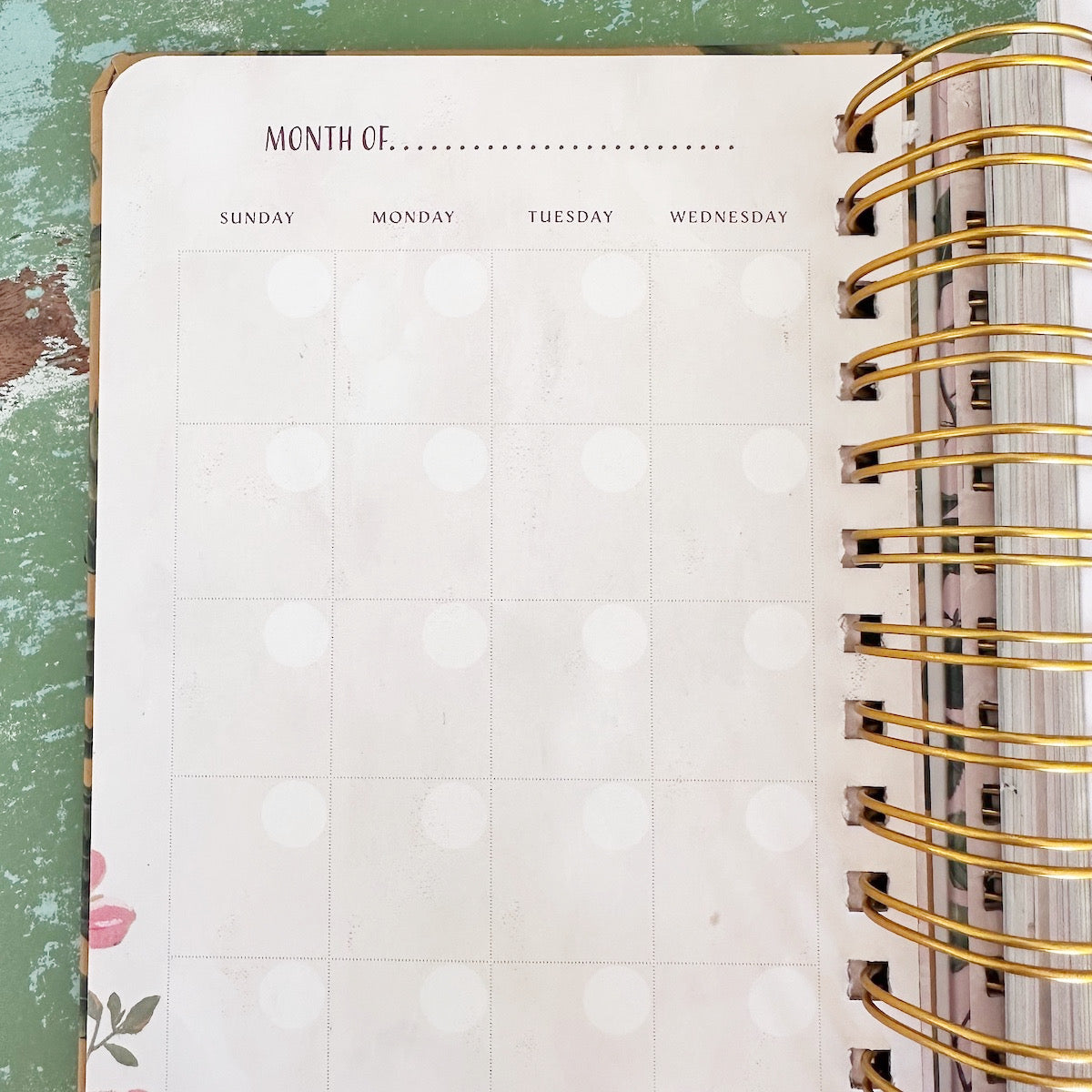 Look For The Magic Undated Planner & Calendar